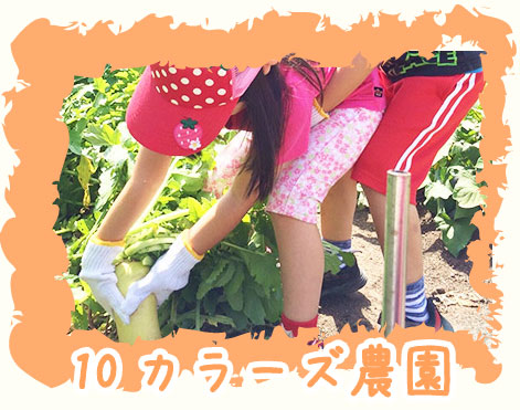 10カラーズのシーズンイベントお餅つき