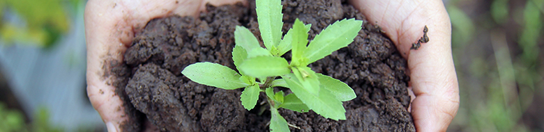 10カラーズ4つの療育内容2療育